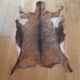 Goat skin 135 cm x 88 cm