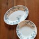 2 dishes Iron Earth
