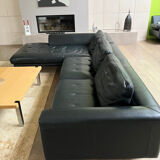 Roche Bobois sofa design