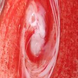 Large Floral Ball Vase/Kaysersberg Art Glassware. Speckled/Volutes