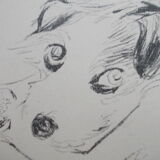 Drawing signed tauzin mario: regard chien au repos, black pencil original 1970s, charcoal