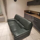 Dark green leather sofa 2-3 seats