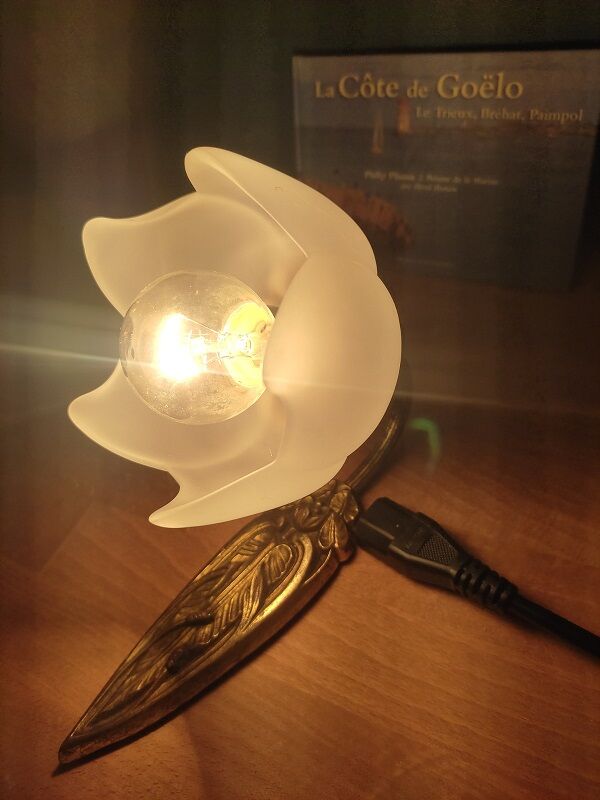 Wall lamp art deco bronze tulip glass paste dp 122365
