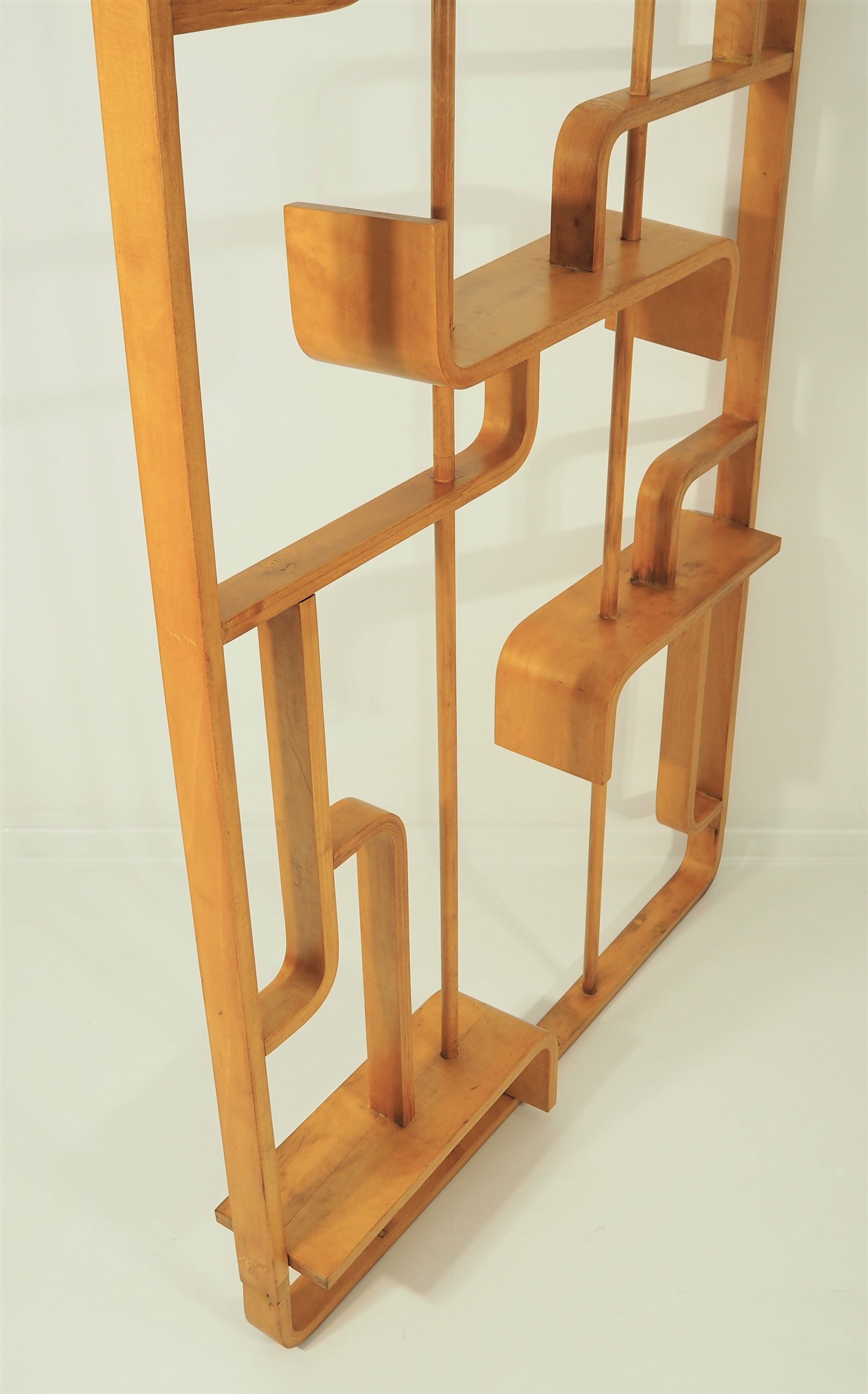 Room Divider by Ludvik Volak for Drevopodnik Holesov, 1960s