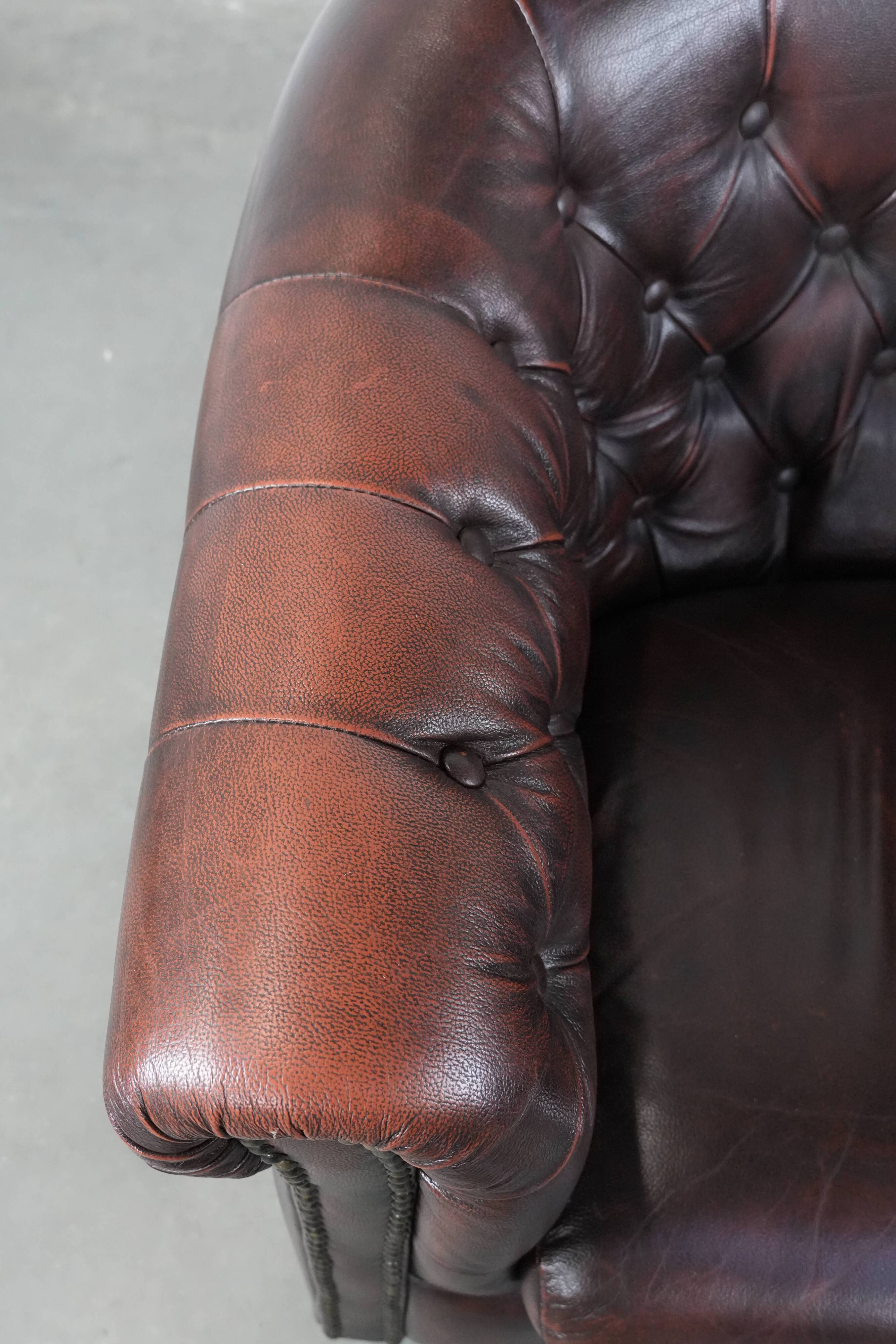 Classic English-style Chesterfield club armchair in cowhide leather