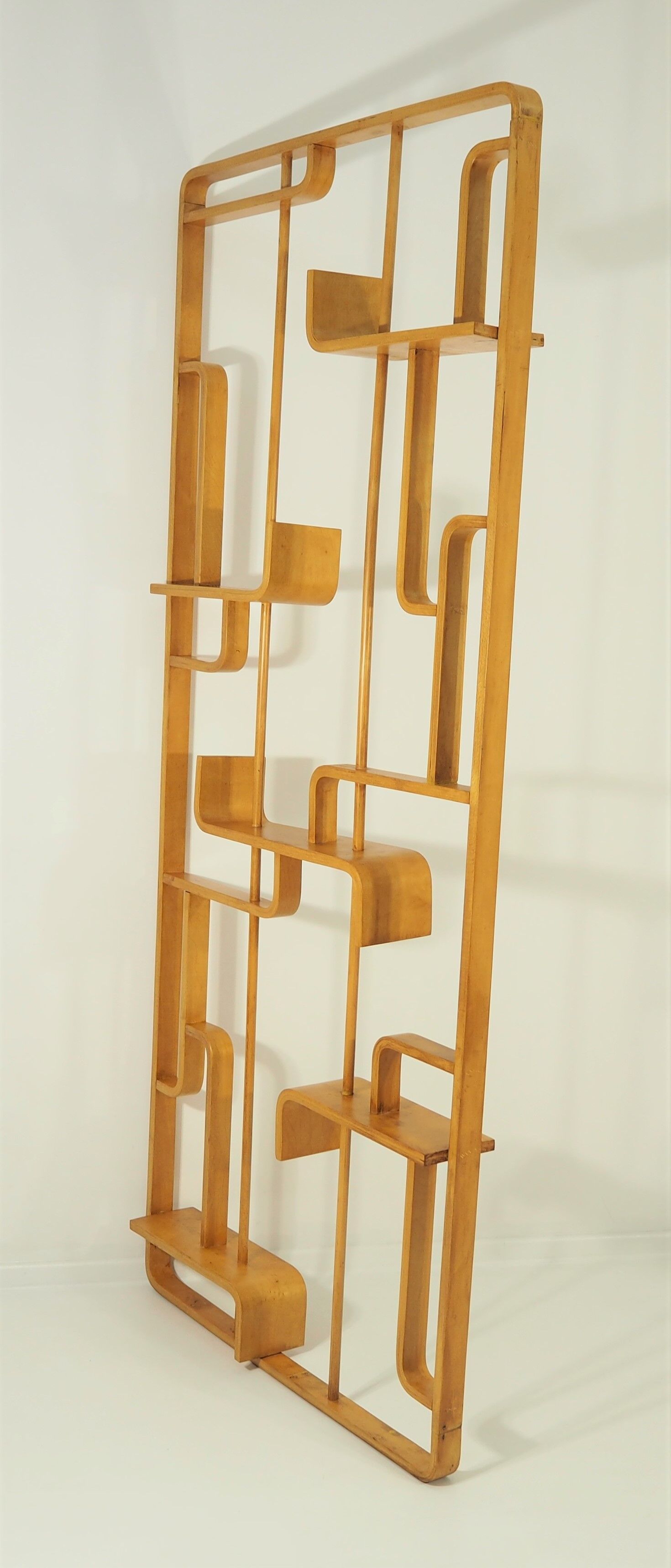 Room Divider by Ludvik Volak for Drevopodnik Holesov, 1960s