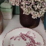 flat plate Gien / cactus