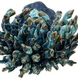 Neptune's Claws, a pair of wall lights by the Portuguese artist Clara Rêgo.