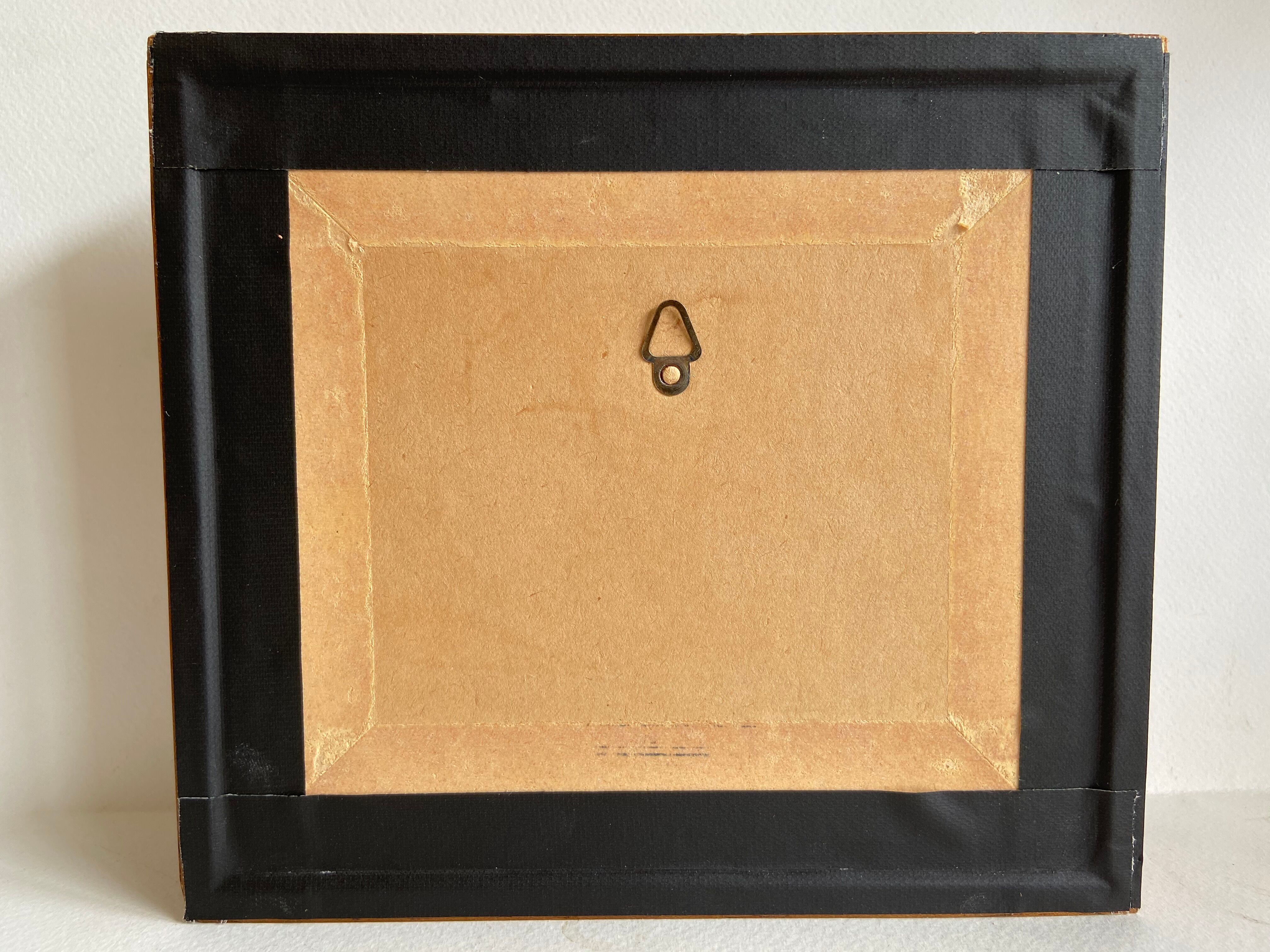 Framed insect - Phymateus Saxosus from Madagascar