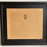 Framed insect - Phymateus Saxosus from Madagascar