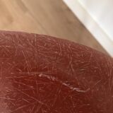 Herman Miller "DSX" chair in fiberglass, Charles & Ray Eames