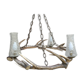 Lustre deer antler