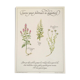 Botanical tea board to promote digestion