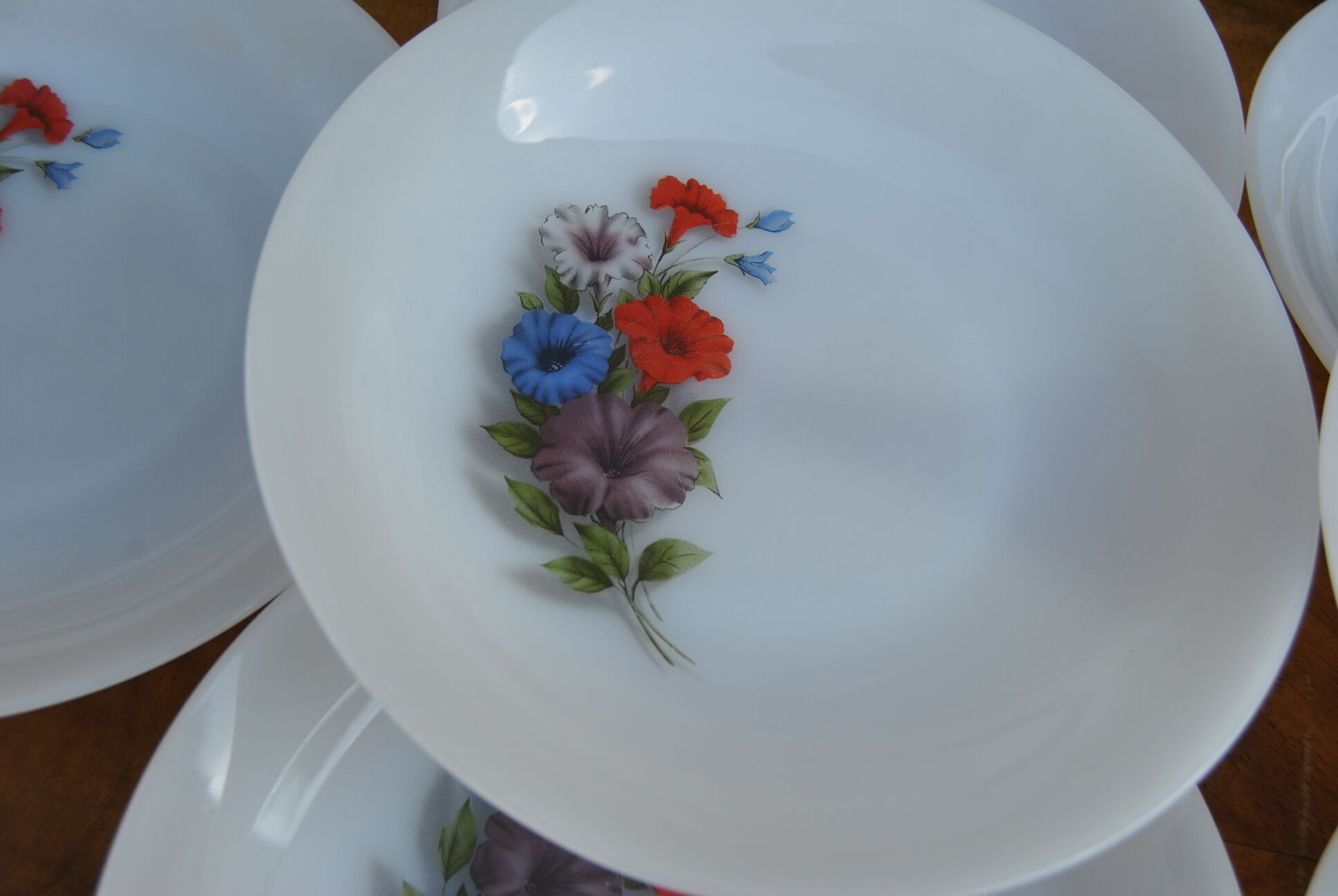 Set of 10 plates flowers of the fields - Arcopal - 70s - Vintage authentic