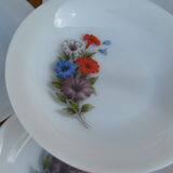 Set of 10 plates flowers of the fields - Arcopal - 70s - Vintage authentic