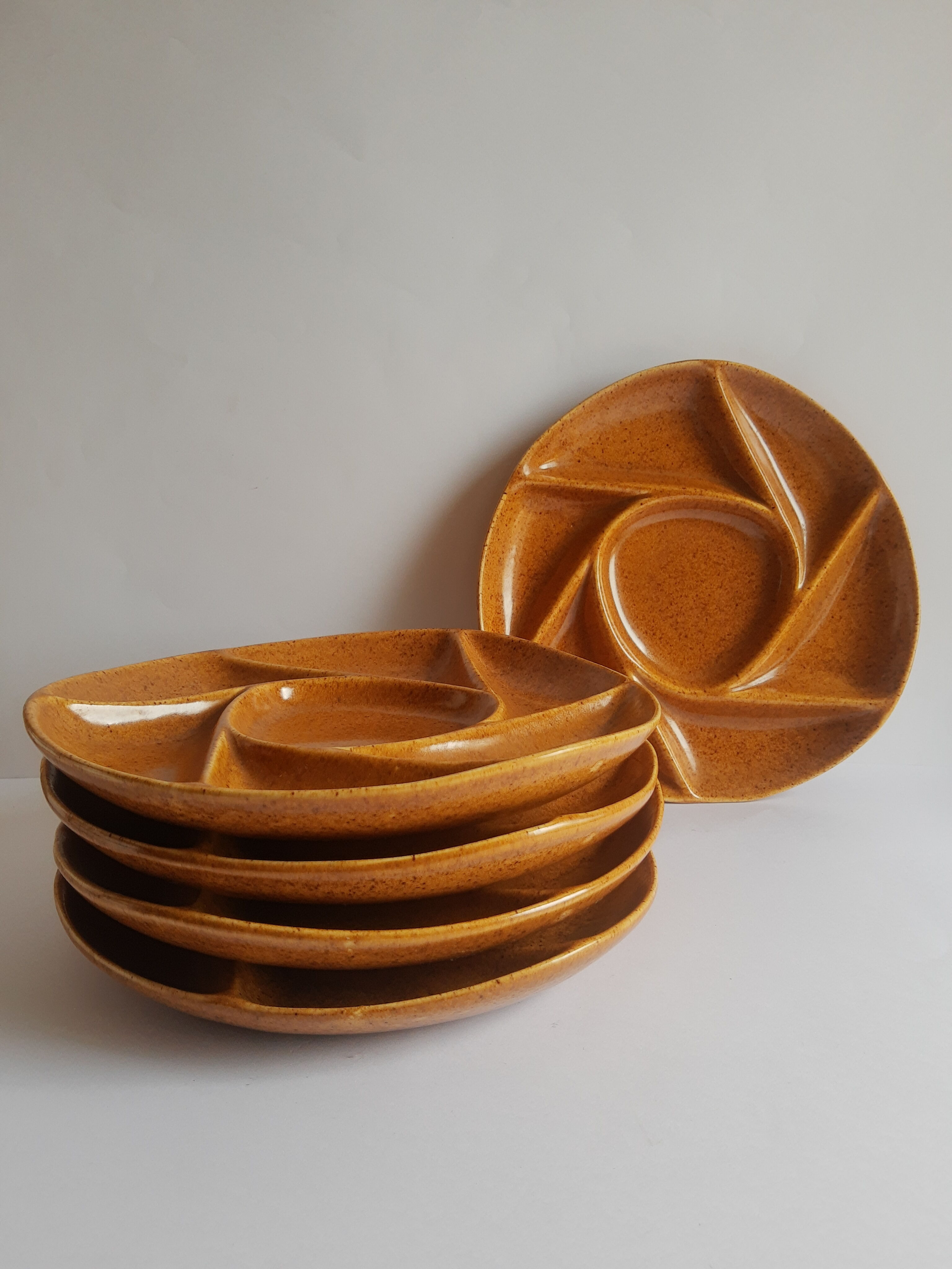 Set of 5 plates with compartments in vintage Longchamp sandstone