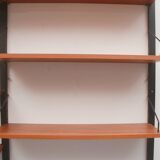 1960s wall unit in teak, Poul Cadovius