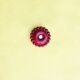 Applique Luna Small Bordeaux