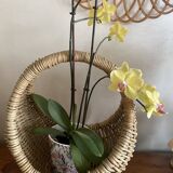 Round basket