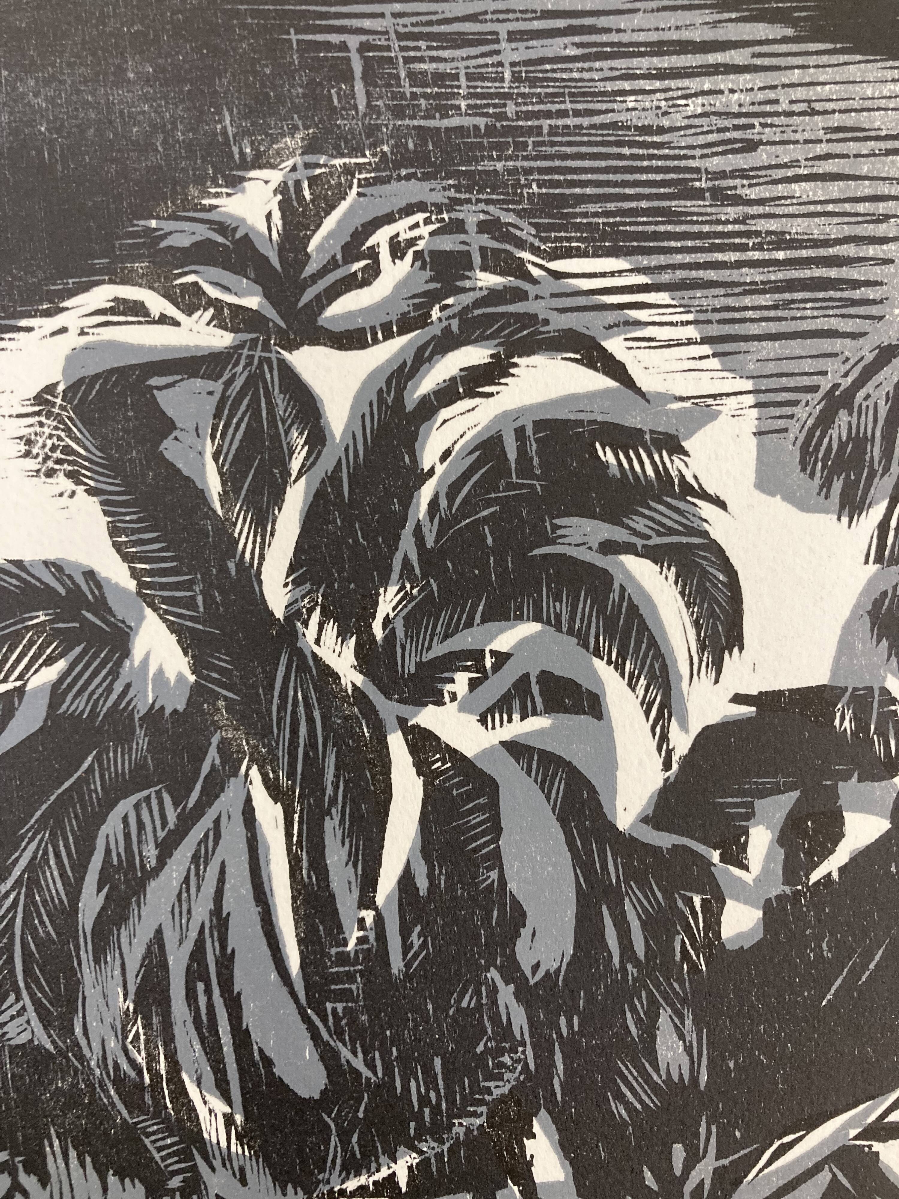 Illustration Le Bois des Cocotiers