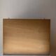 Framed giant insects, entomology collection