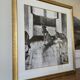 original vintage silver print "wolves"