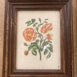 Pair of framed botanical prints