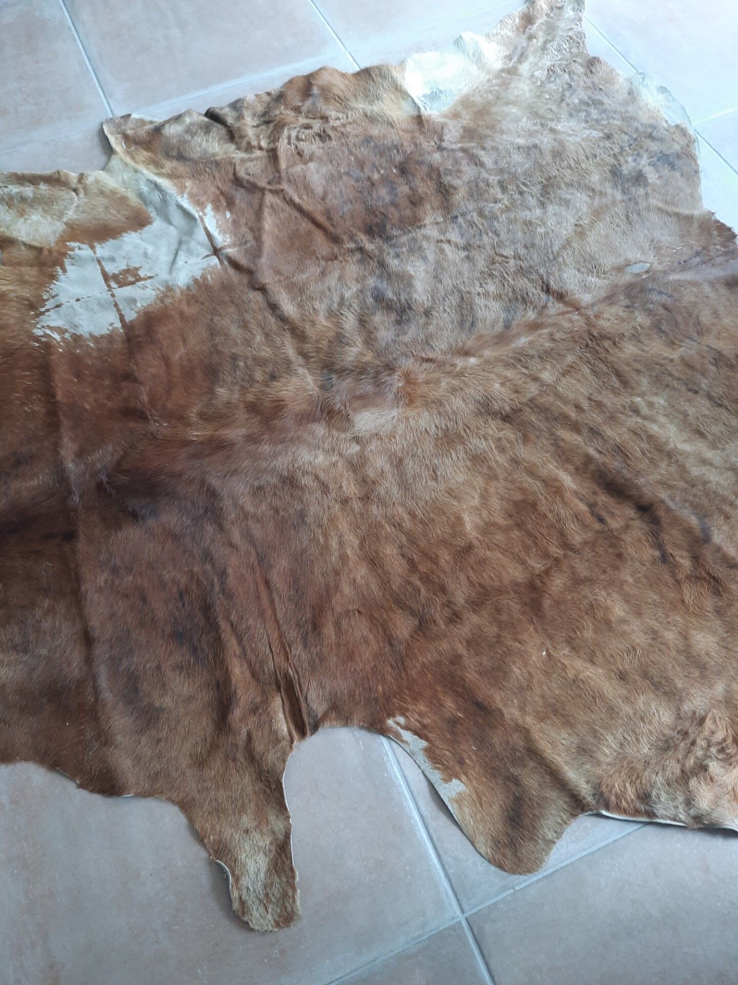 Cowhide carpet 230/190