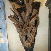 Natural wood sculptural coat rack