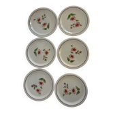 Flowered dinner plates