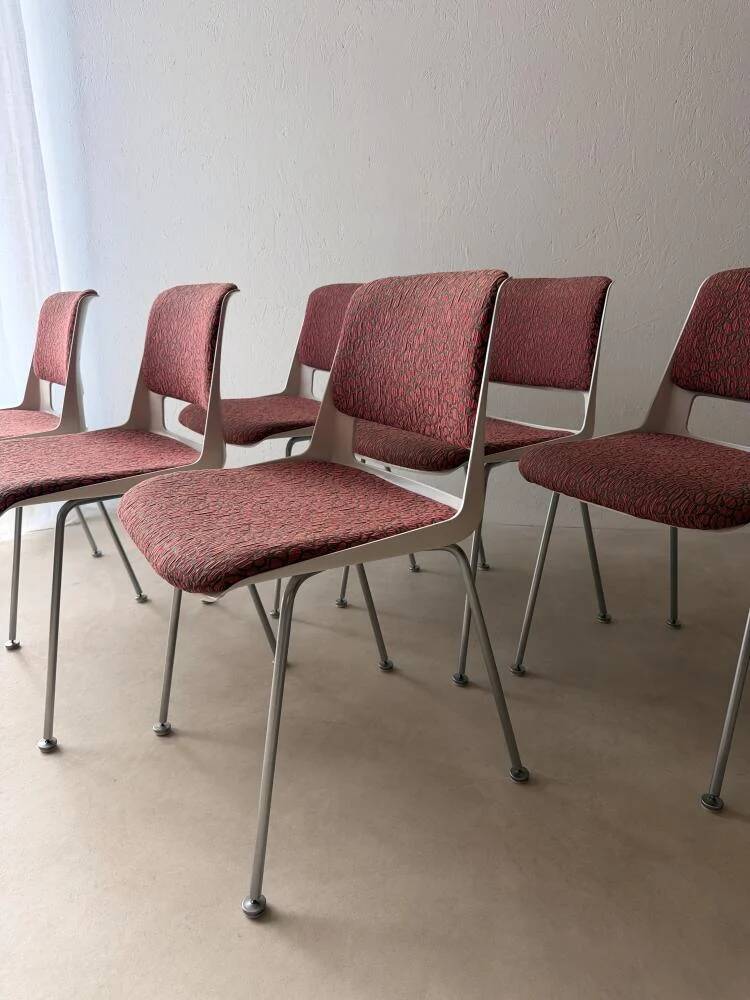 Gispen 2215 dining chairs André Cordemeyer set of six