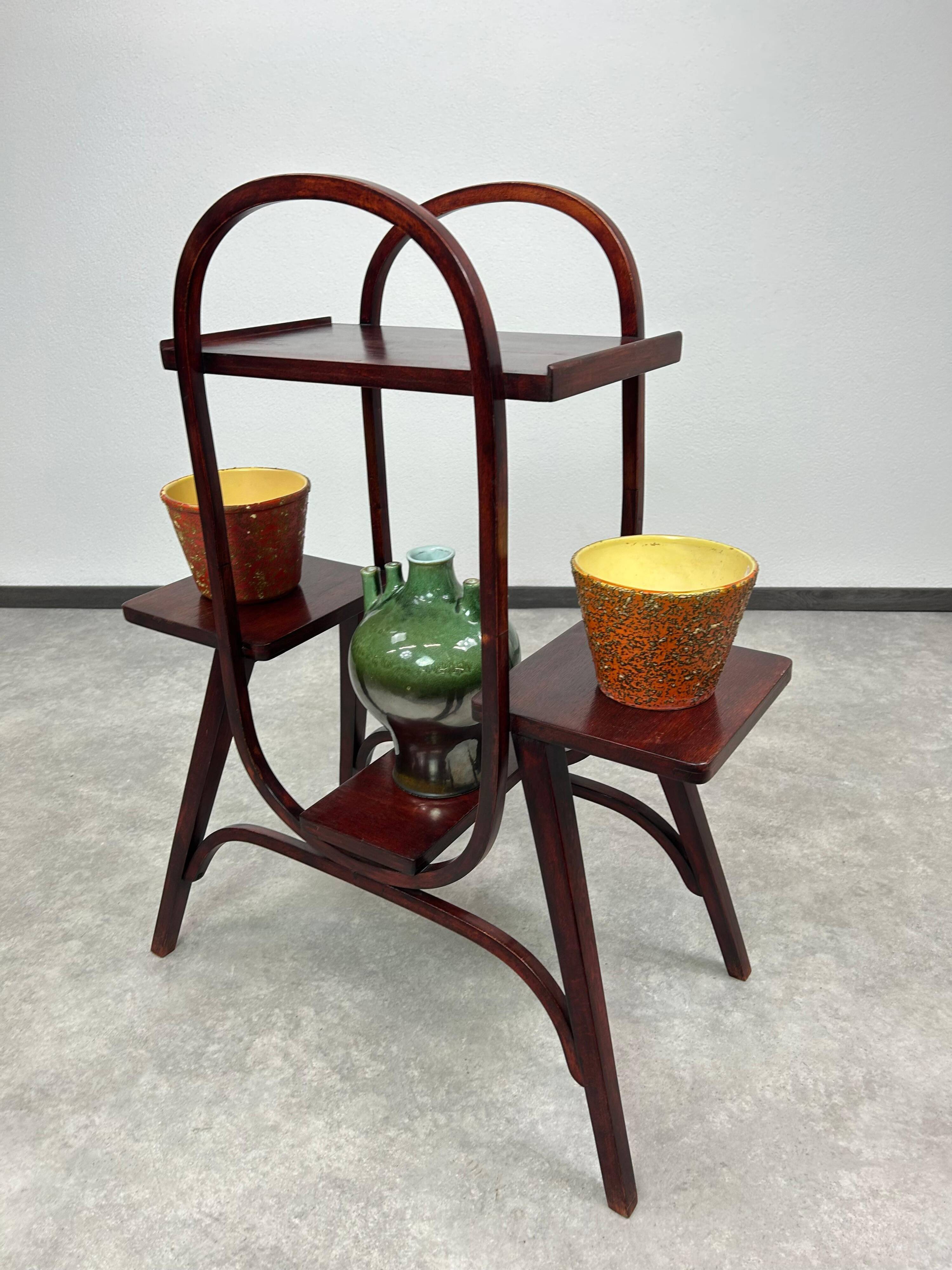 Jugendstil plante stan par Thonet