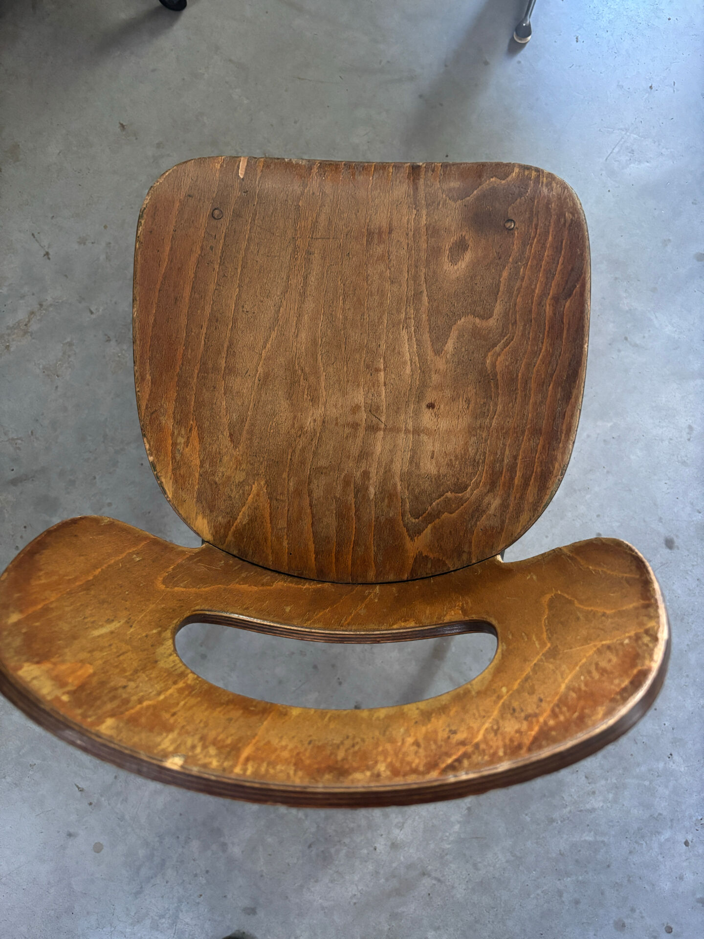 Baumann chair "Alouette" 60