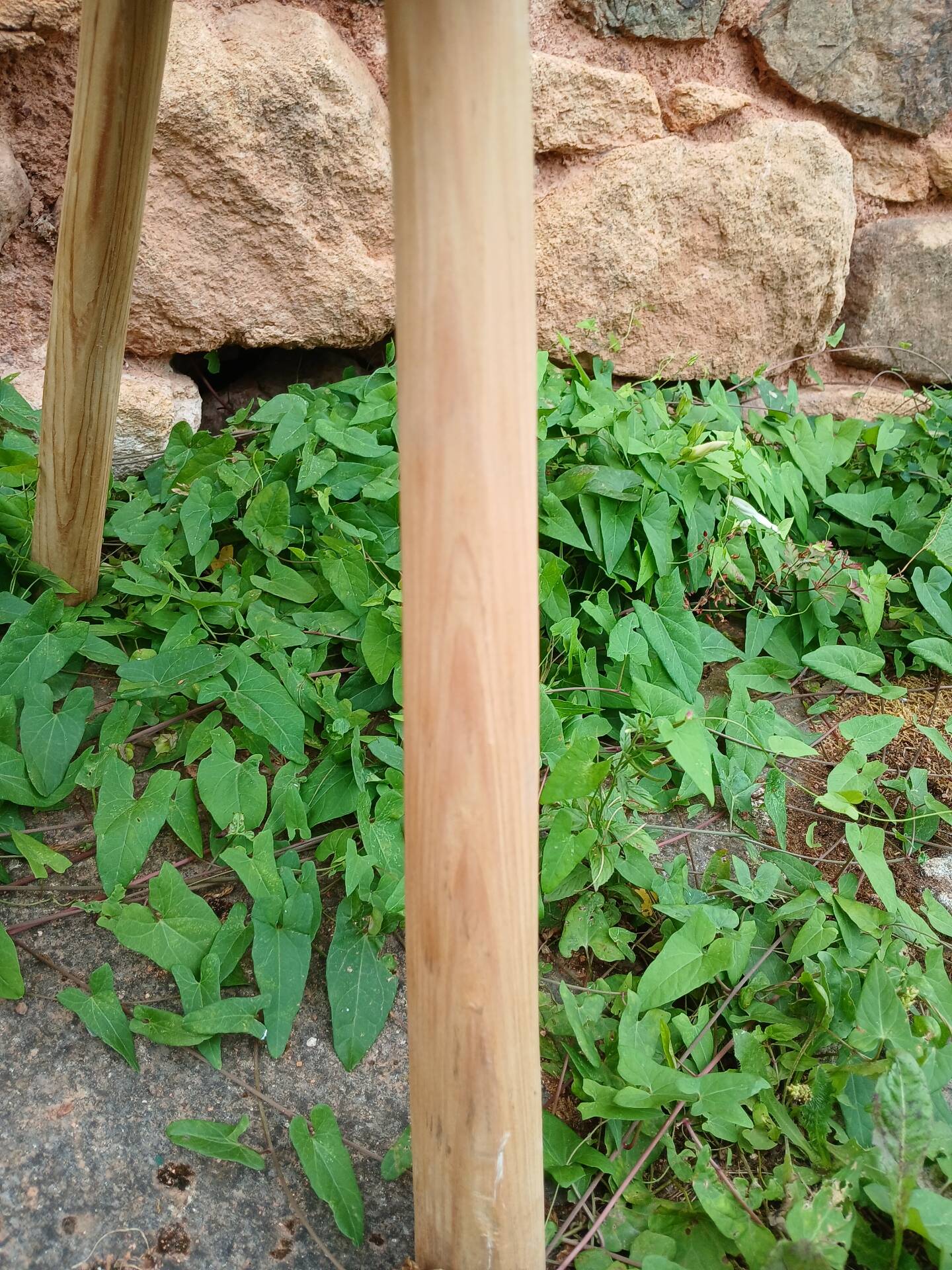 Antique stool in raw wood