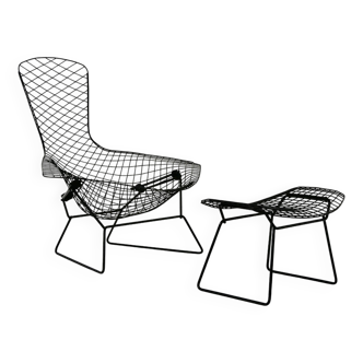 "Bird" armchair and ottoman by Harry Bertoia for Knoll, 1960s