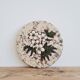 Vallauris ceramic trivet