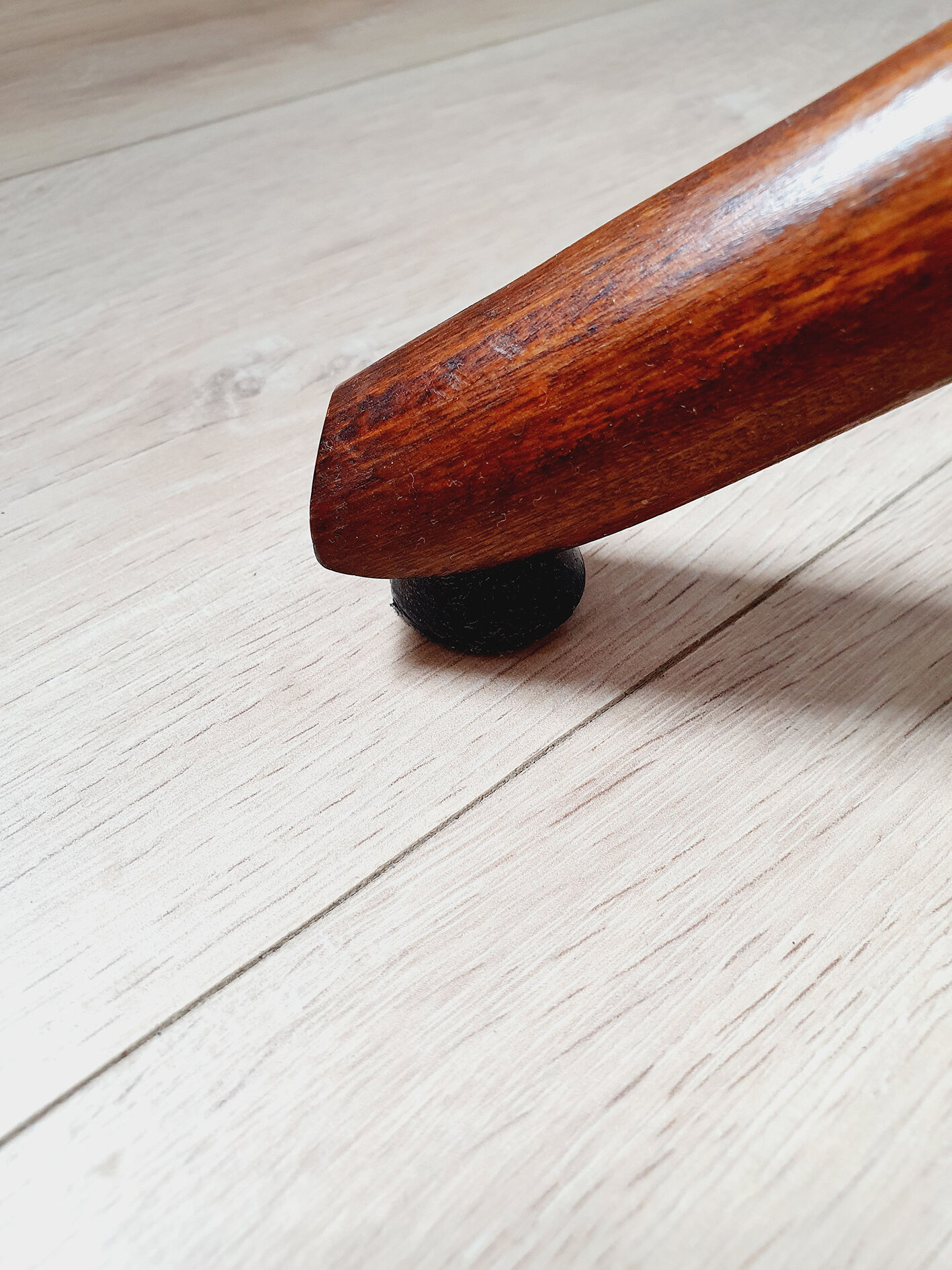 Parrot coat rack in curved wood