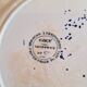 Set of 2 Gien Geoffroy Deep Plates with 19th Century Floral Decoration
