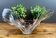 Vintage free-form glass bowl – decorative design plate