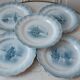 Set of 5 dessert plates Terre de Fer Saint Amand XIXth