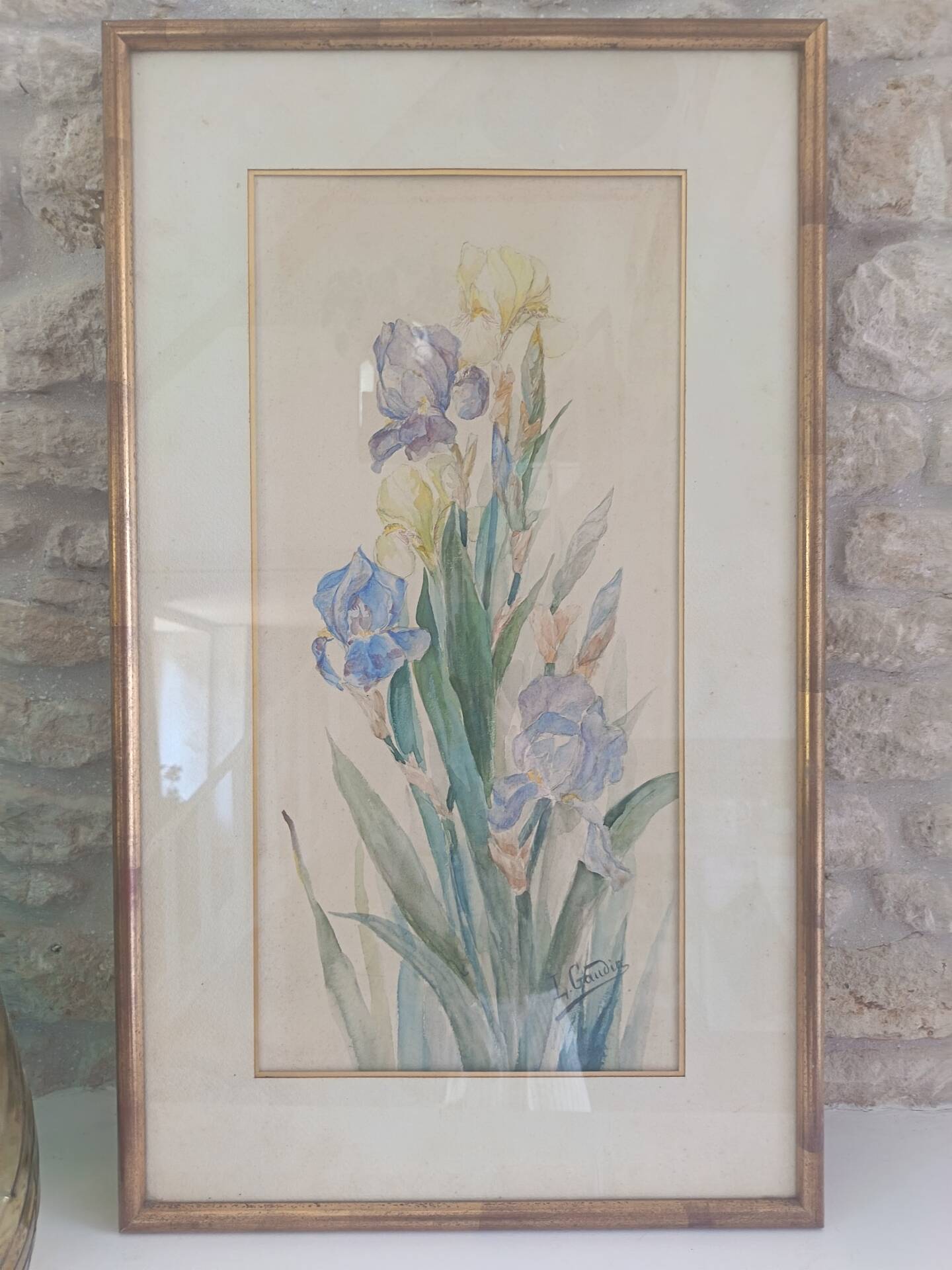 Painting of an iris