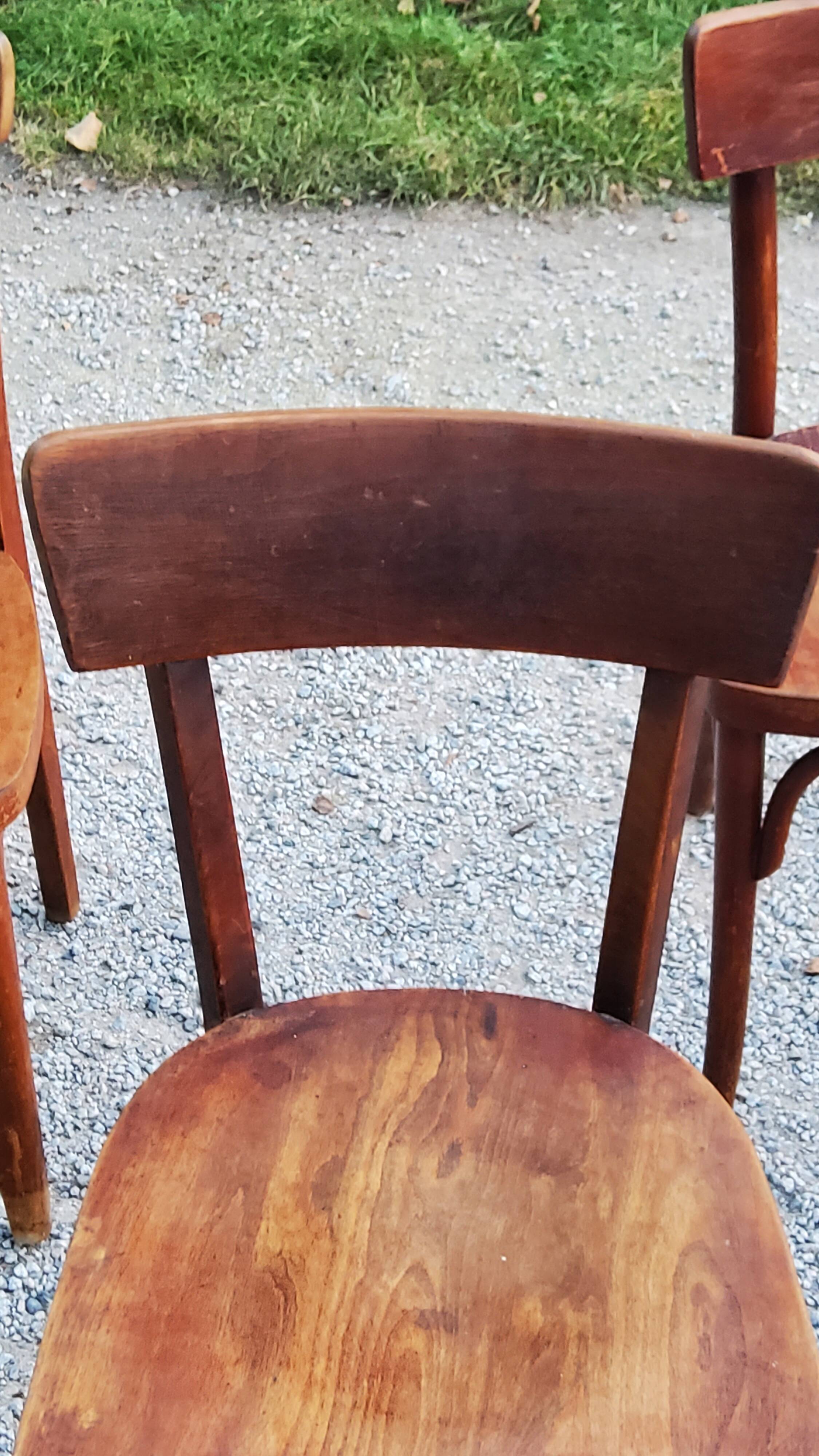 Set of 5 Stella Thonet bistro chairs from the 1950s