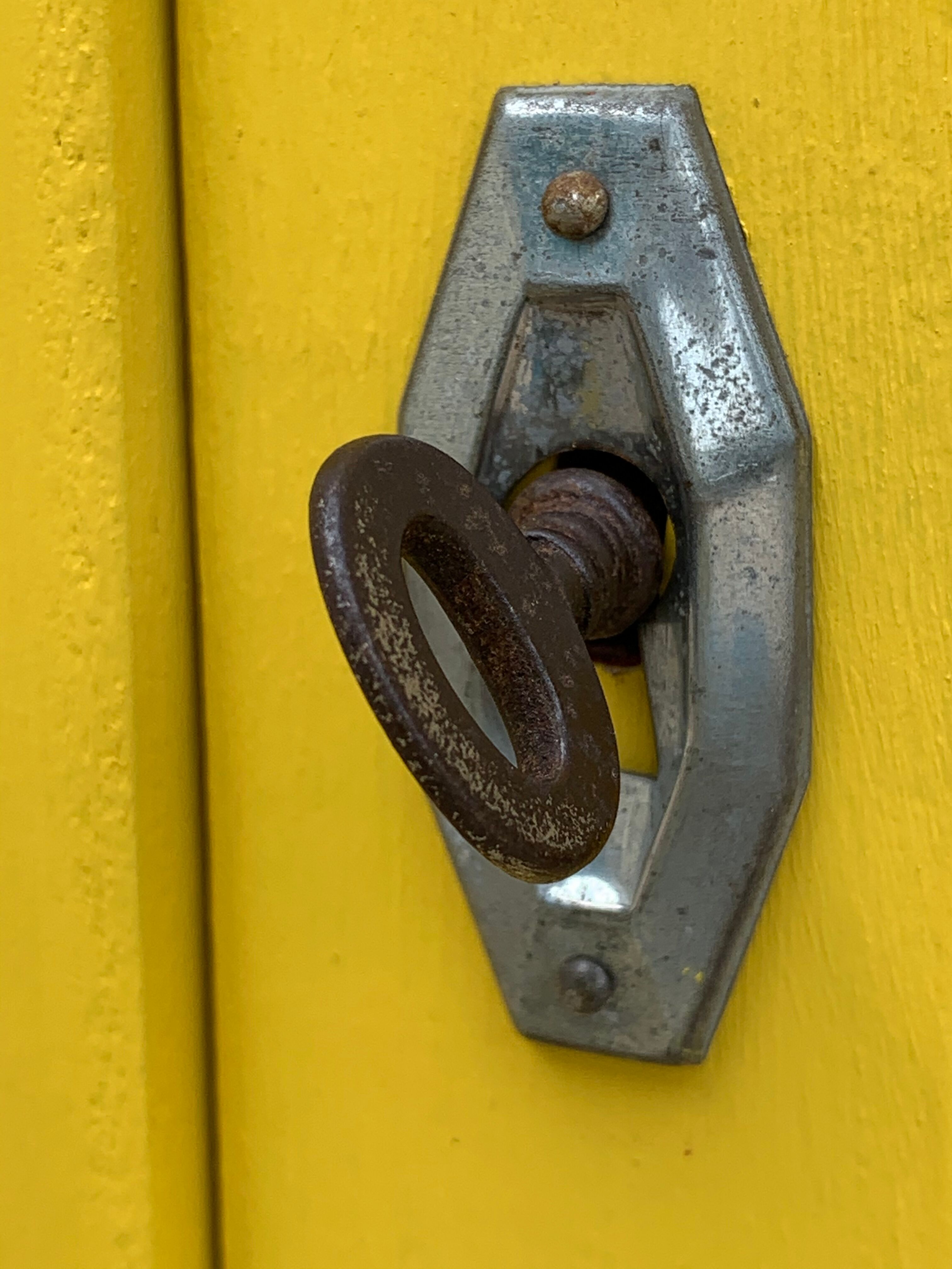 Glass-glazed Parisian wardrobe 1950