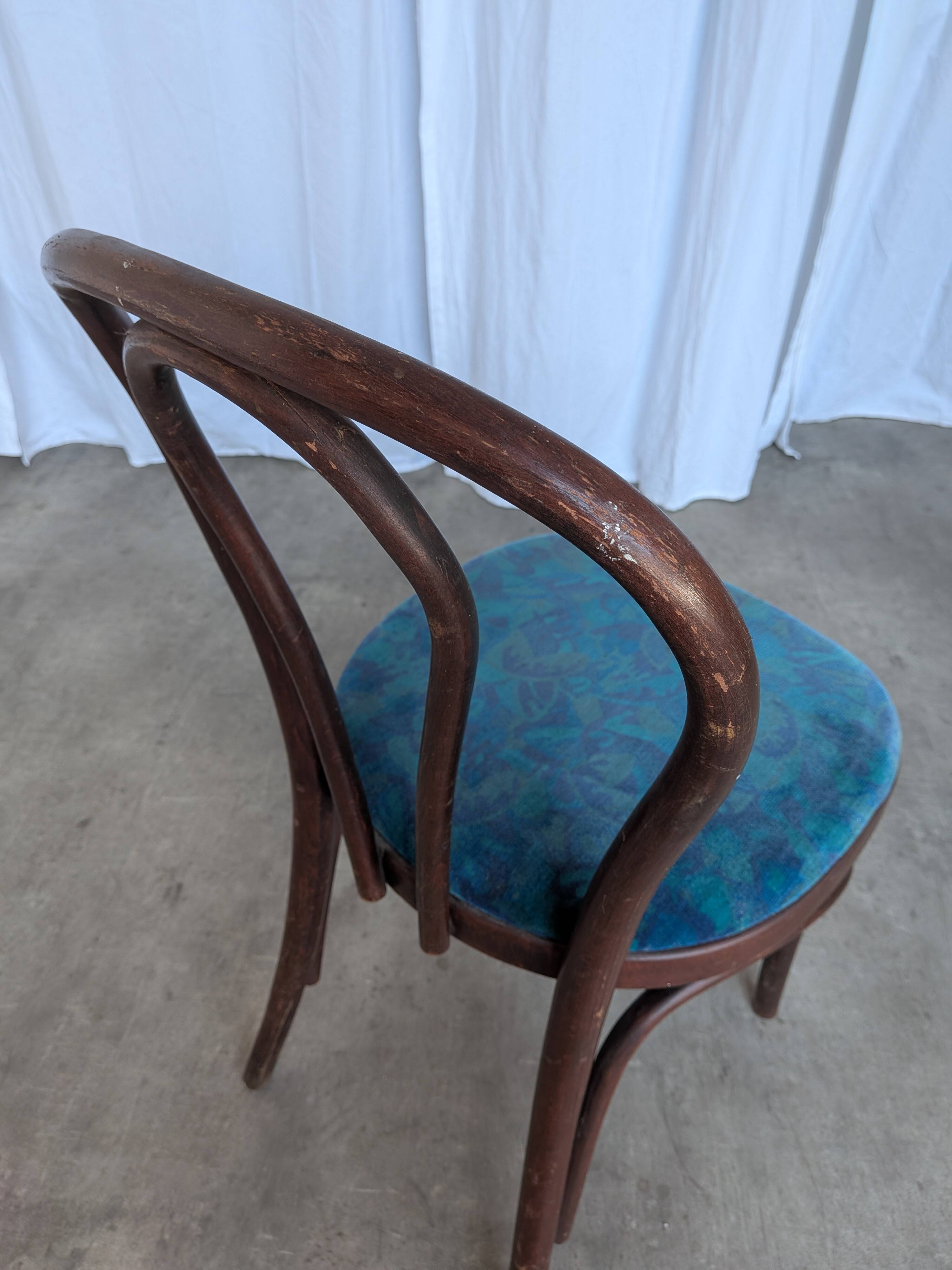 Vintage Bentwood Chair with Upholstered Seat / Thonet Style Dining Chair /