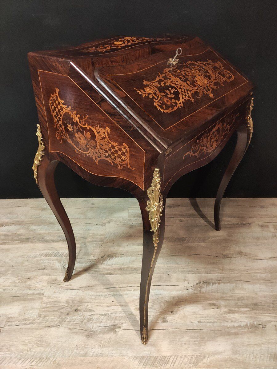 Secretary donkey back Napoléon III style
