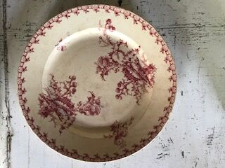 Dish Terre de fer model chardons