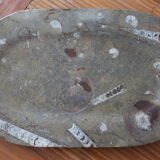 Fossil natural stone top