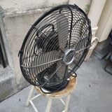 Cinni fan