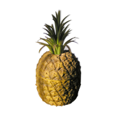 Pineapple ice bucket