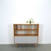 Deens Domino Mobler kast met klepdeur
